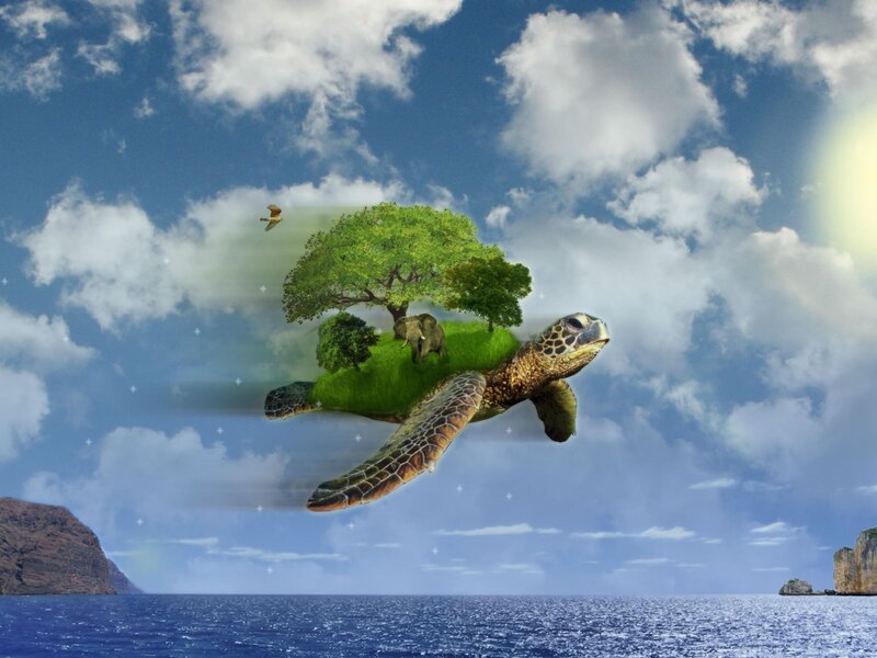 Turtle carrying a floating island
