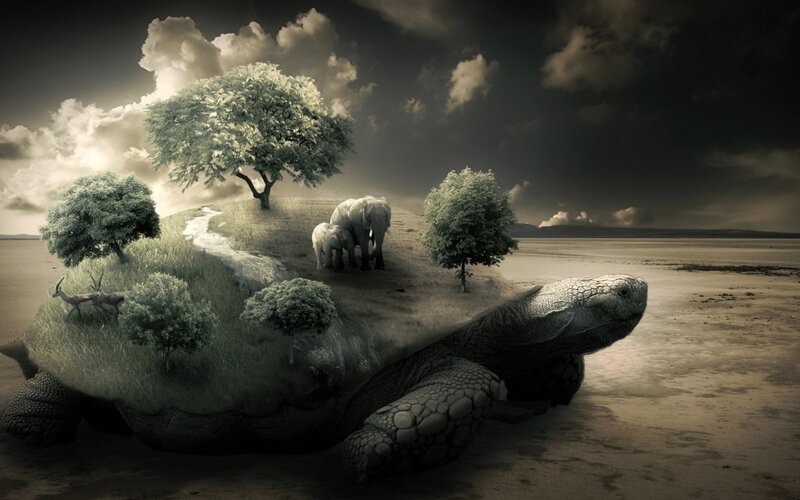 Turtle carrying a small world