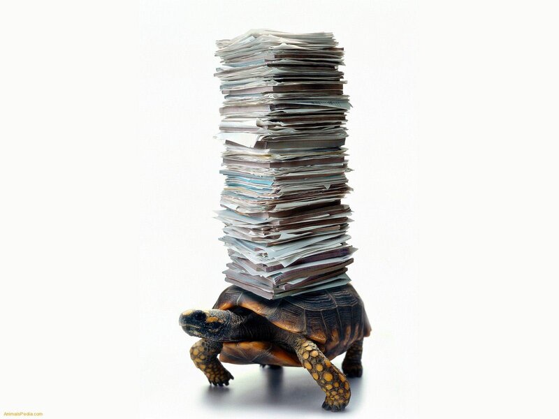 turtle carrying a stack of papers