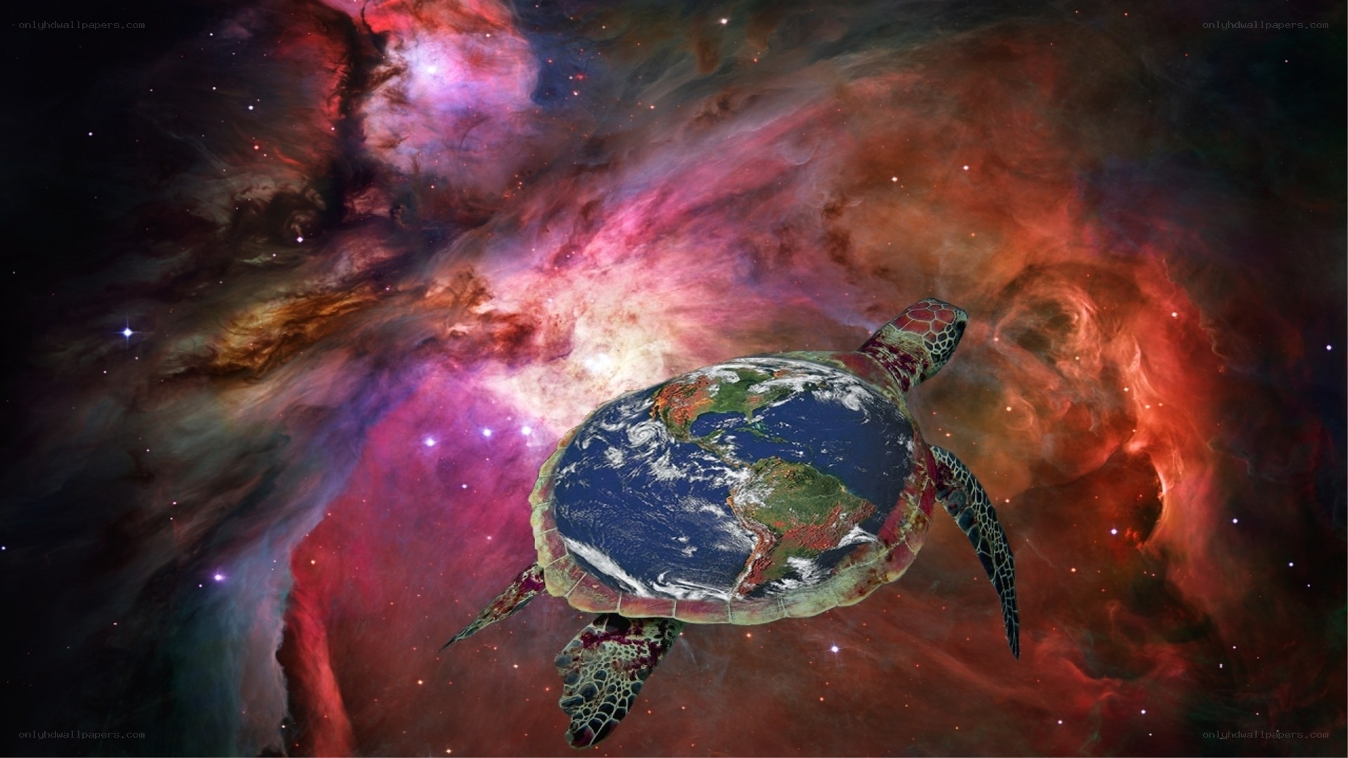 turtle carrying earth in space