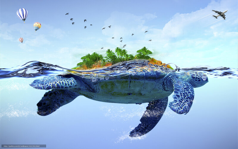turtle carrying island