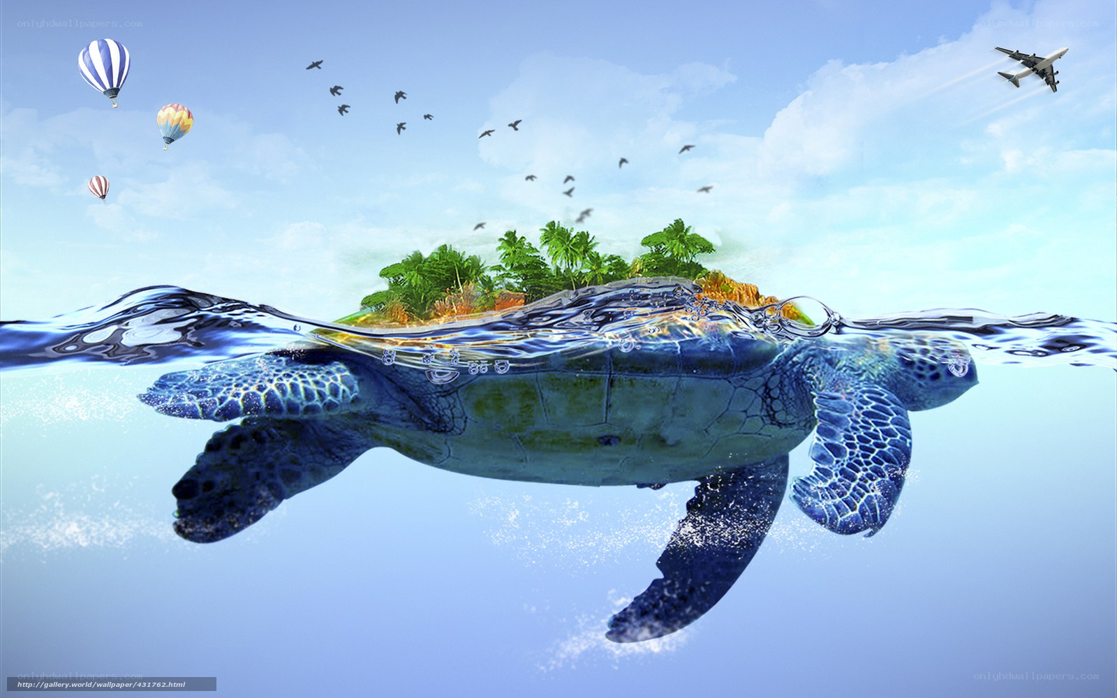 turtle carrying island