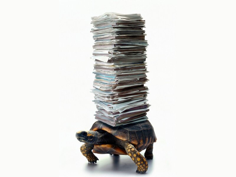 Turtle Carrying Papers