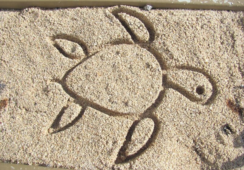 Turtle Drawn in Sand