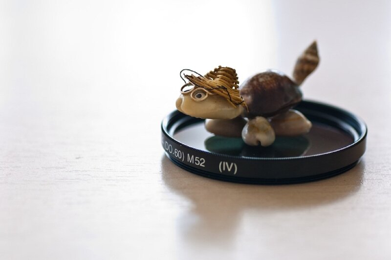 Turtle Figurine on Filter