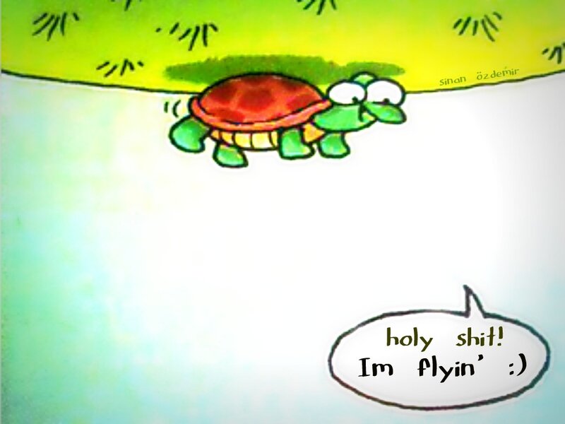 turtle flying cartoon