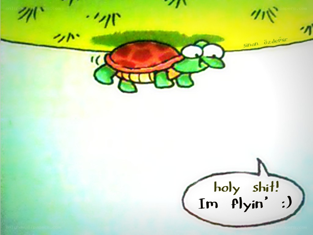 turtle flying cartoon