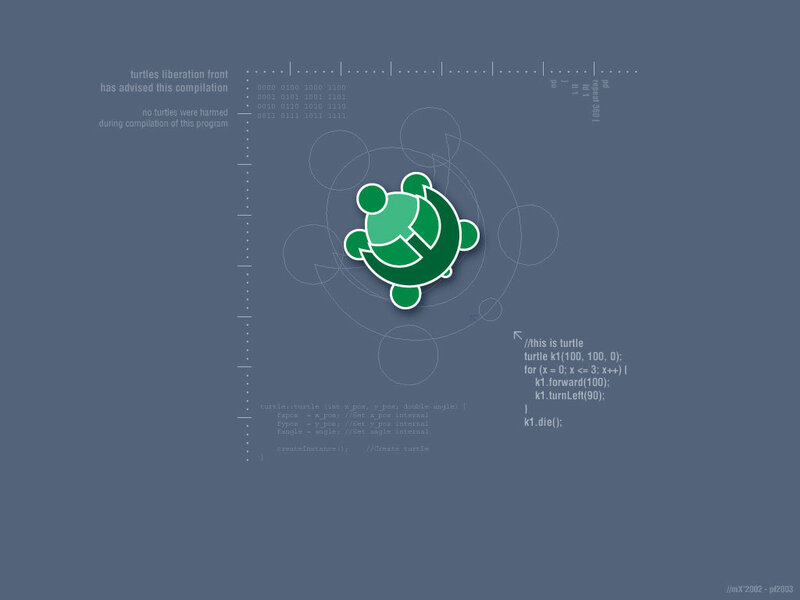 Turtle graphics compilation screen