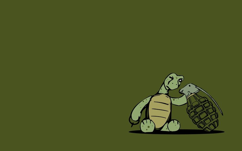 Turtle Holding Grenade