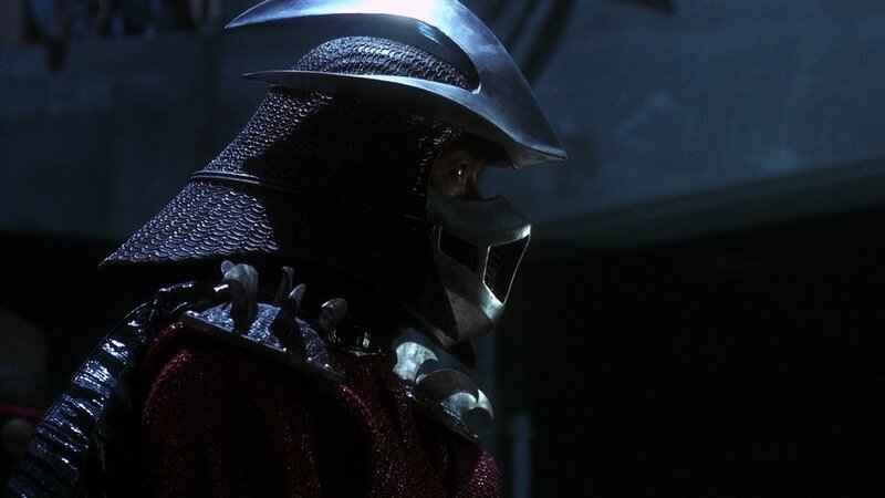 turtle in armor