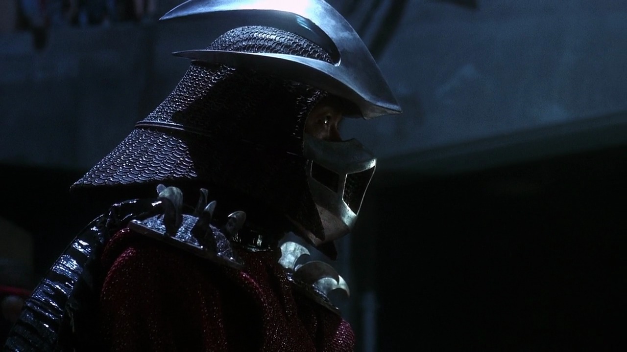 turtle in armor
