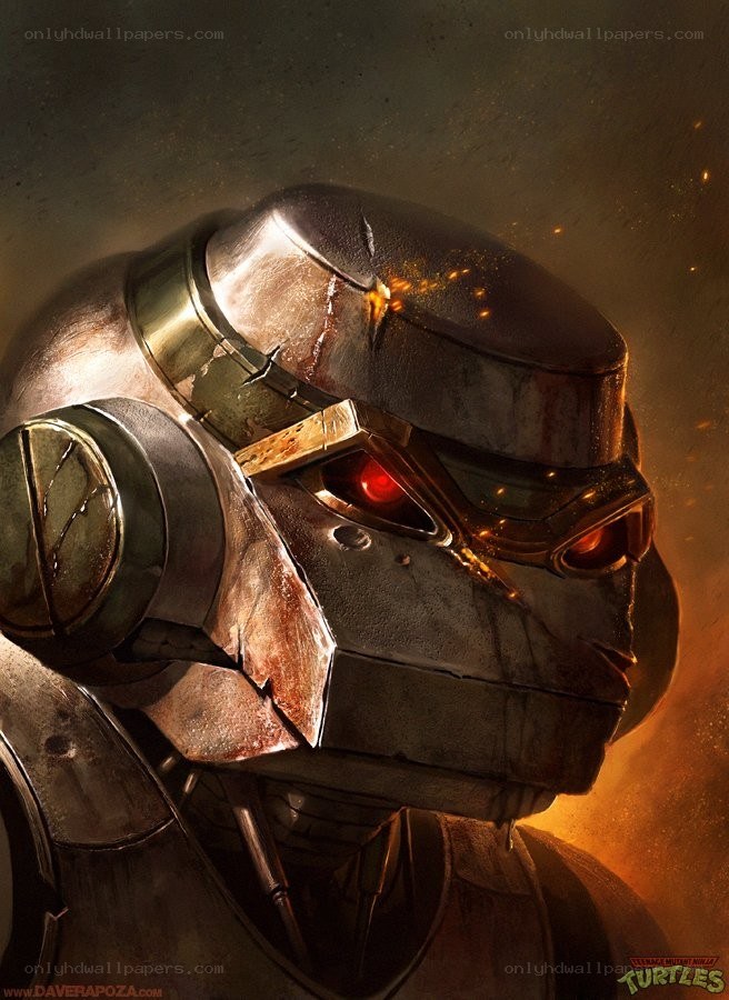 Turtle in battle armor