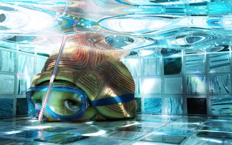 turtle in goggles underwater