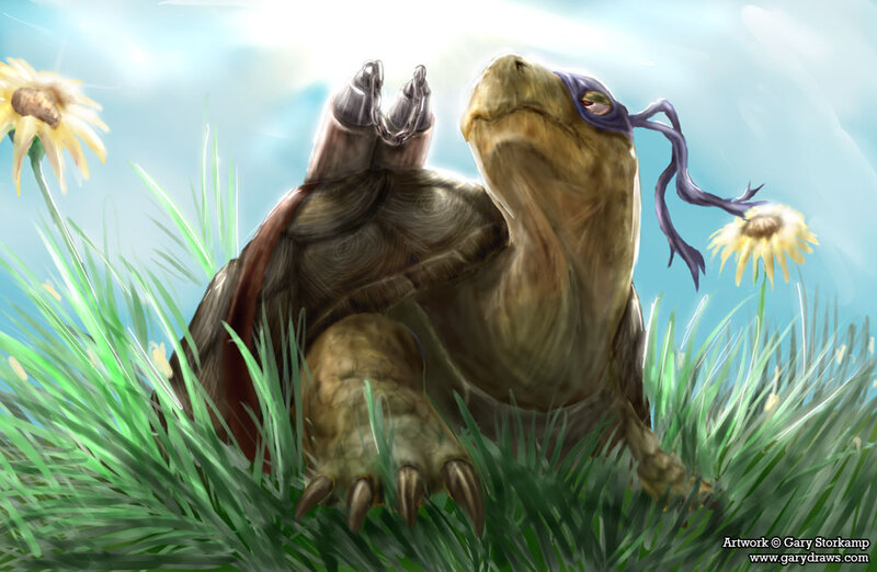 turtle in the grass