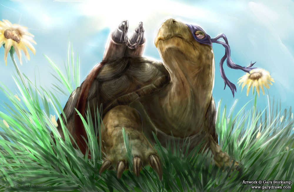 turtle in the grass