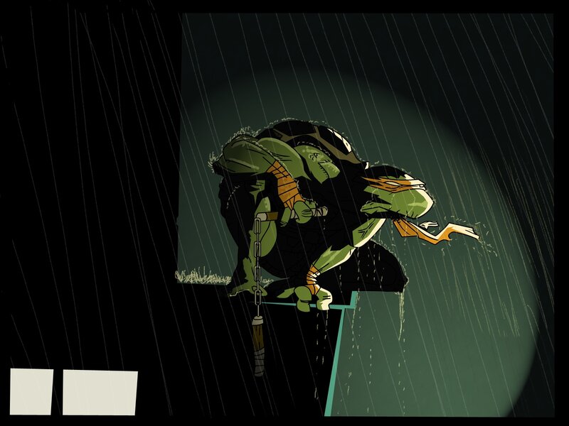 Turtle in the rain