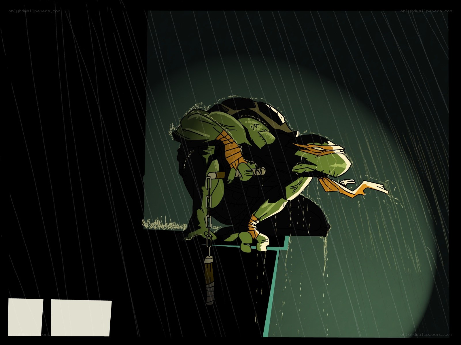 Turtle in the rain