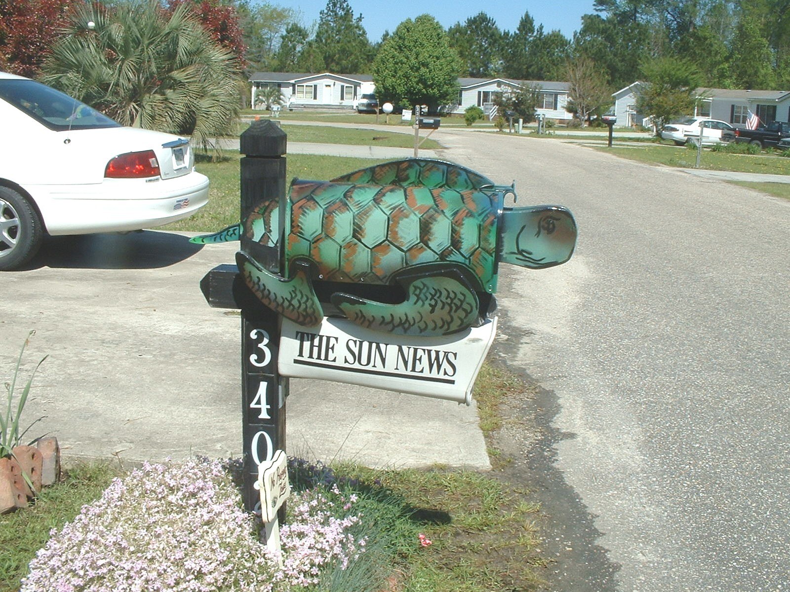 turtle mailbox in residential neighborhood
