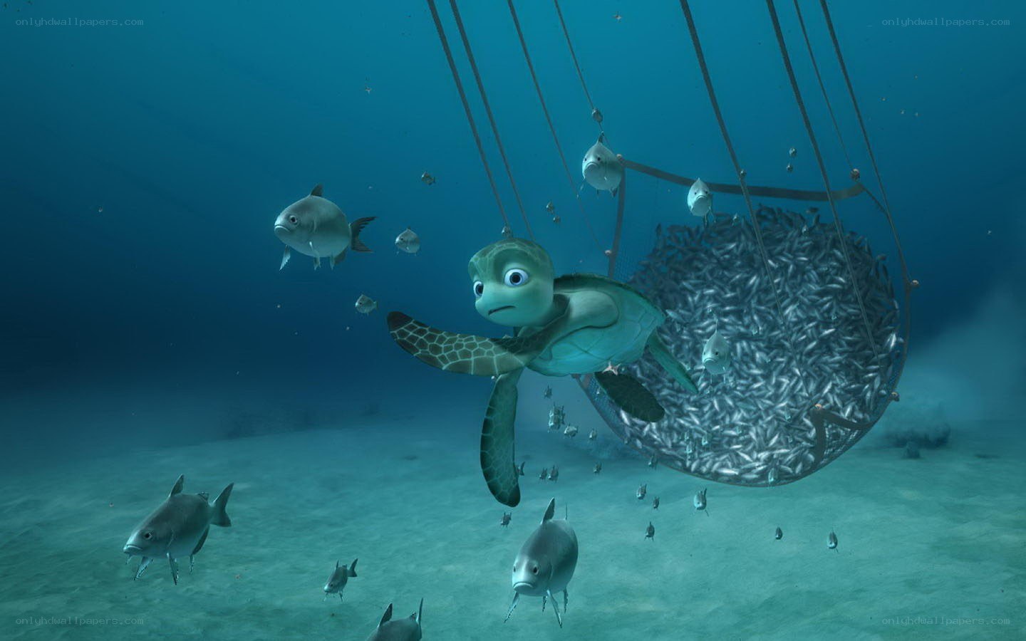 turtle near fishing net underwater
