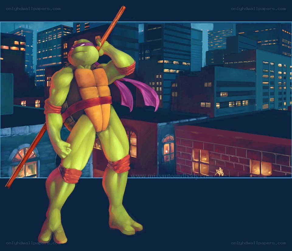 turtle ninja on city rooftop