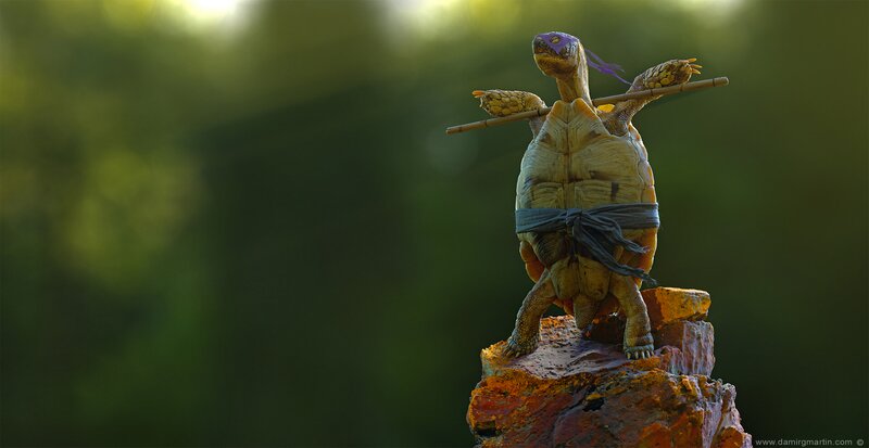 Turtle Ninja on Rock