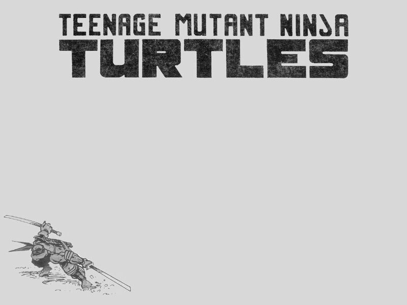 Turtle Ninja Warrior — Gray, Action