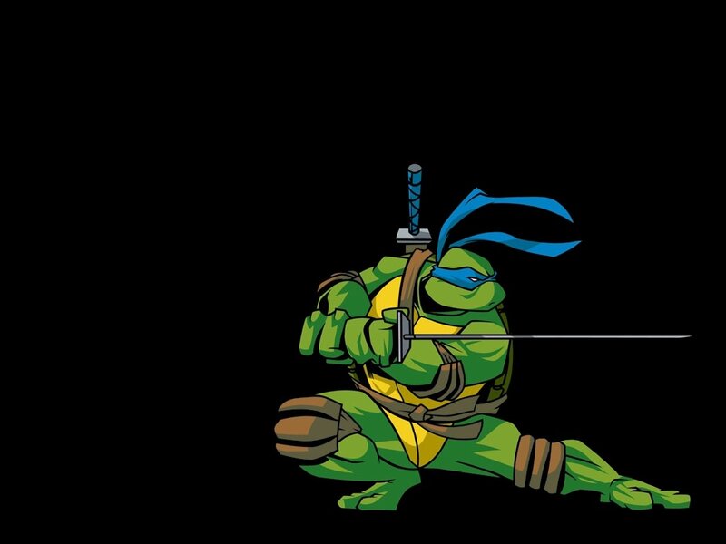 Turtle Ninja with Sword
