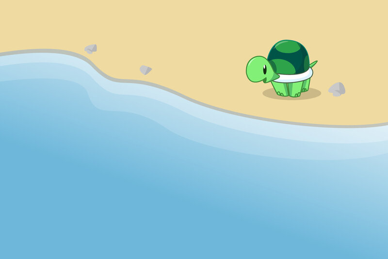 turtle on a beach