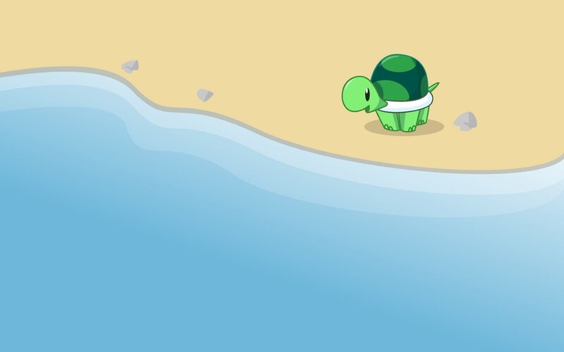 turtle on a beach