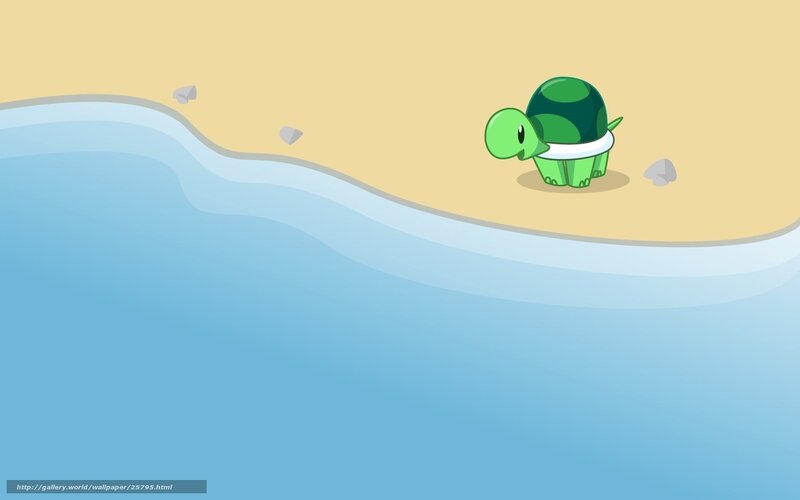 turtle on a beach