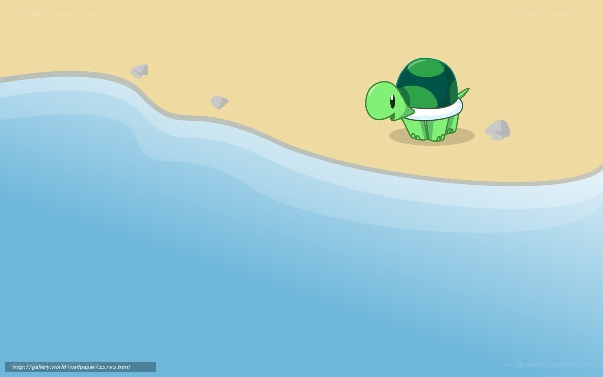 turtle on a beach