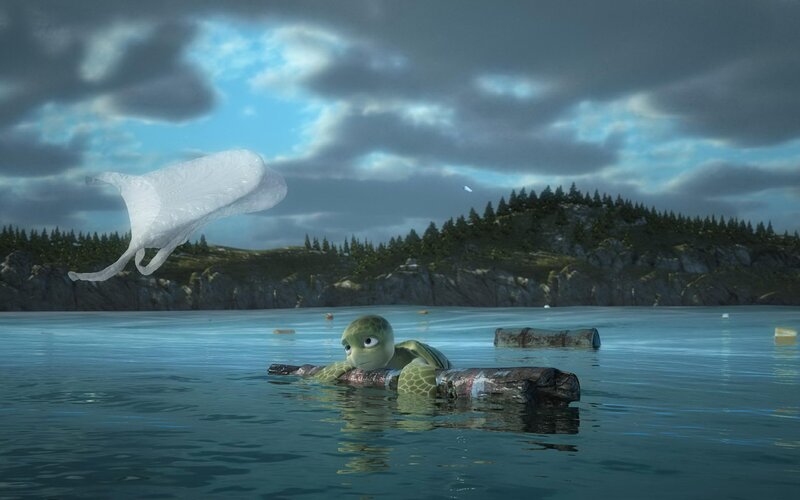 turtle on a log in ocean