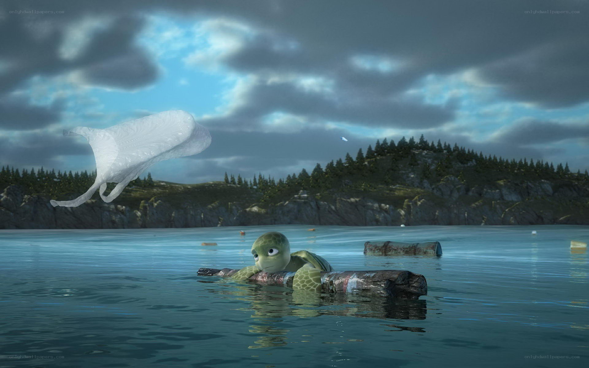 turtle on a log in ocean