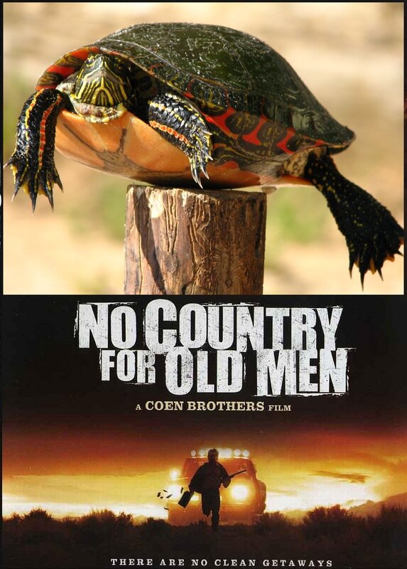 Turtle on a Post