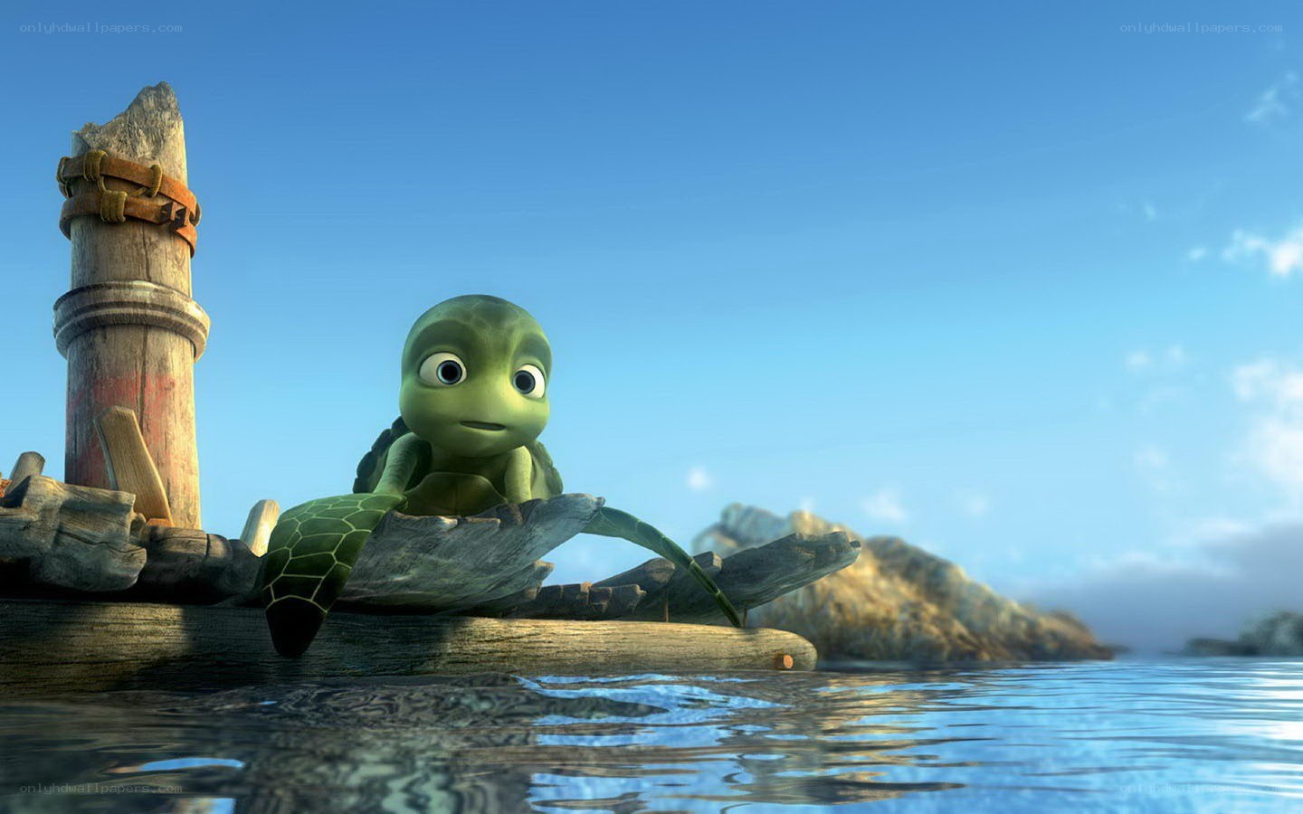 turtle on a raft