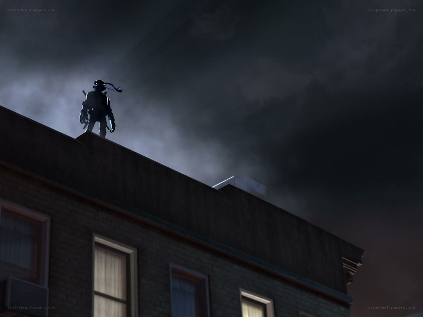 turtle on rooftop at night