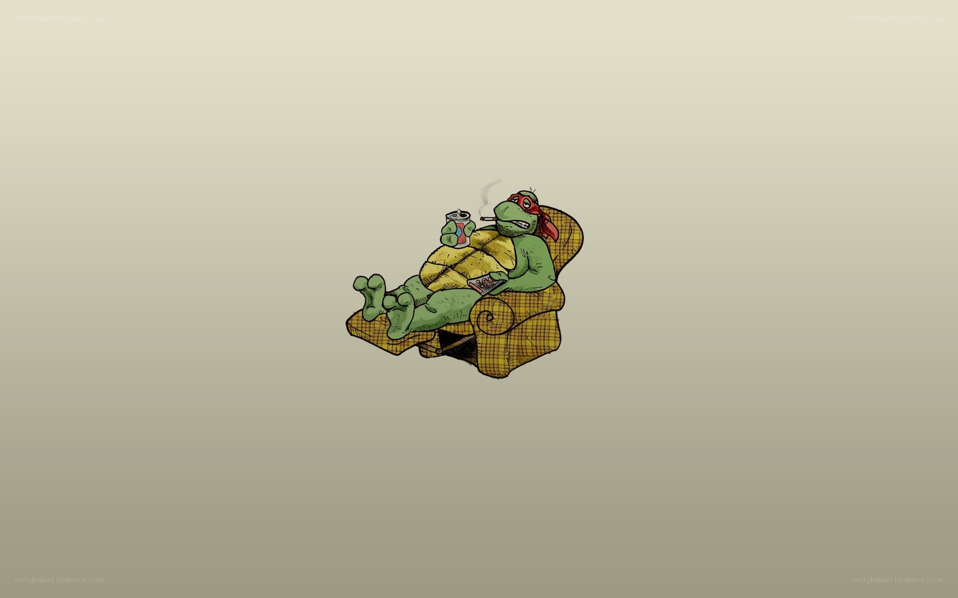 turtle relaxing in armchair