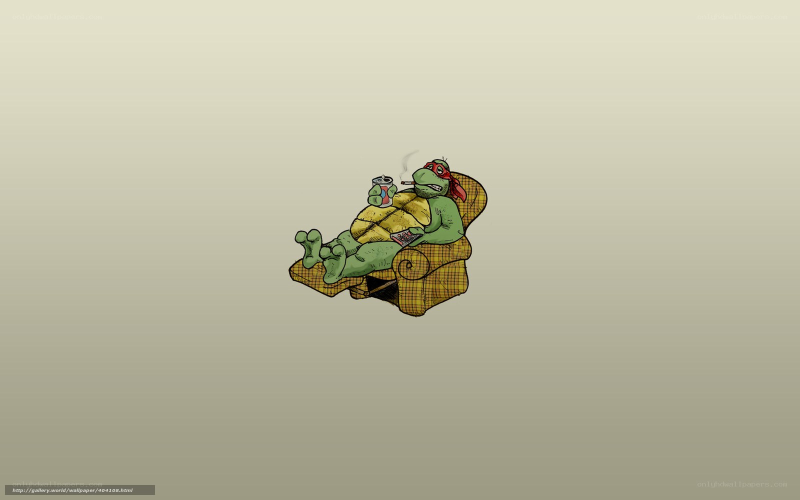 turtle relaxing in chair