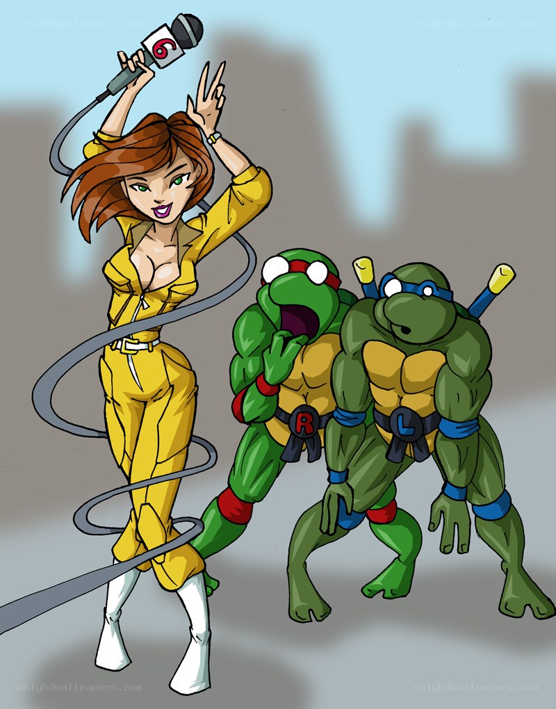 turtle reporters in action