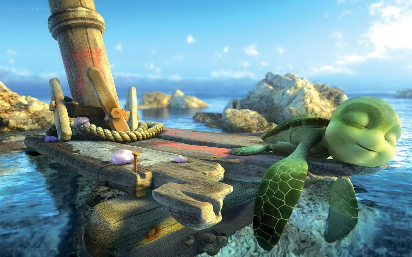 turtle resting on a dock