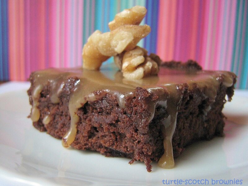 turtle scotch brownie slice