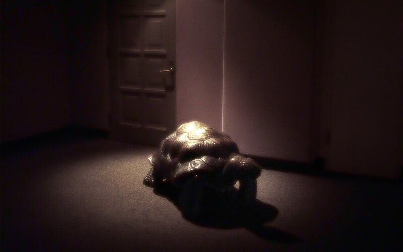 turtle sculpture in dim light