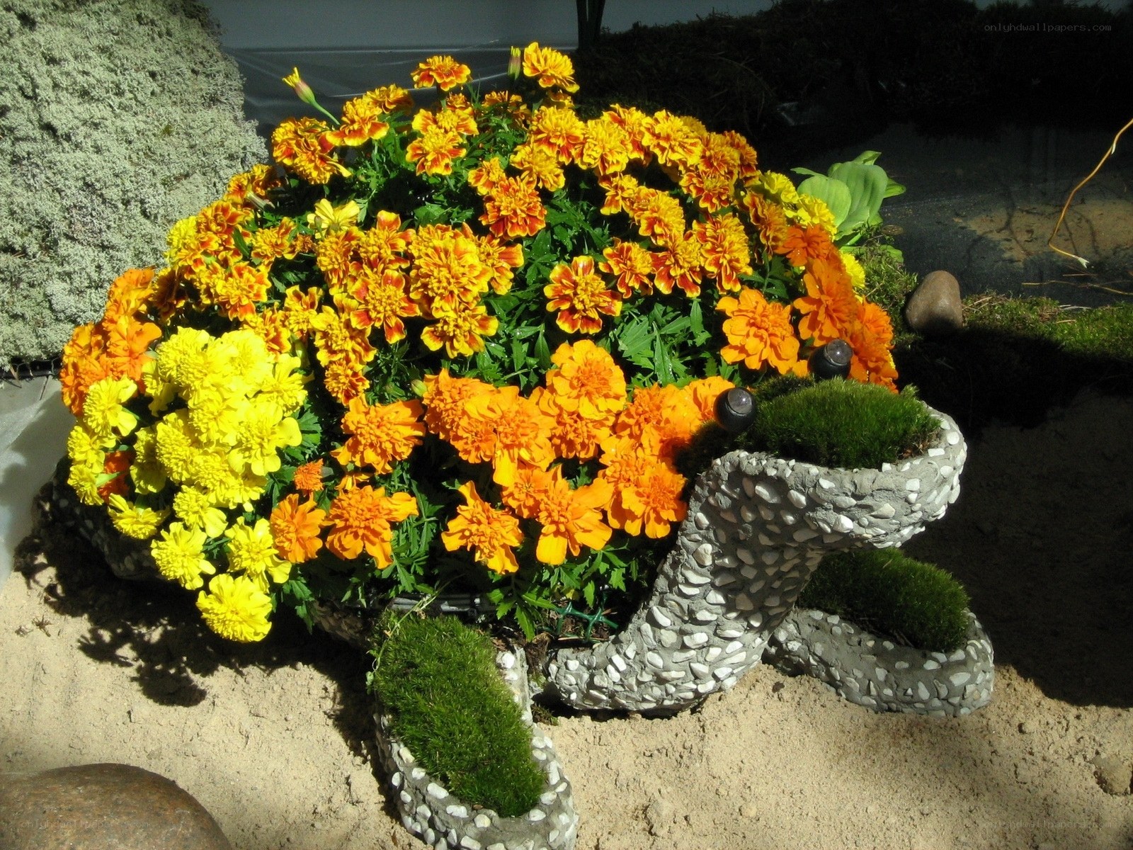 turtle-shaped flower planter