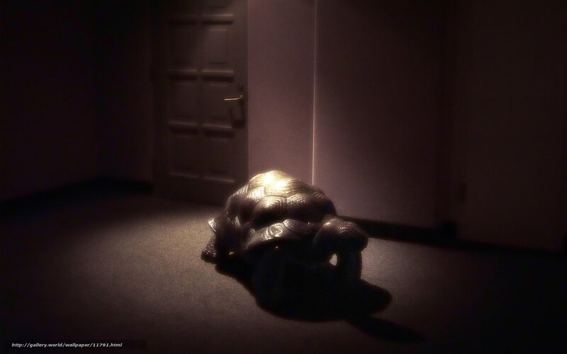 turtle statue in dark room