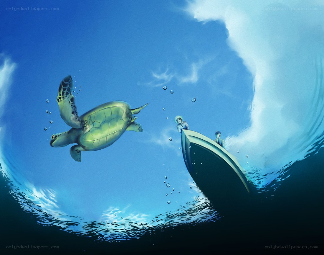 turtle swimming near boat