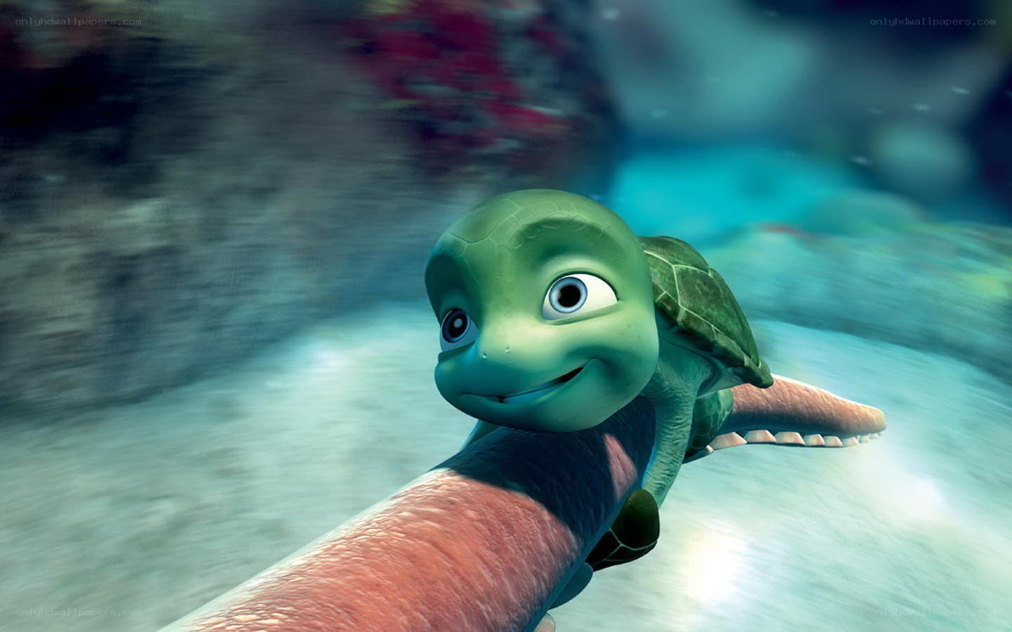 turtle swimming underwater