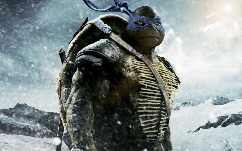 Turtle Warrior in Snow