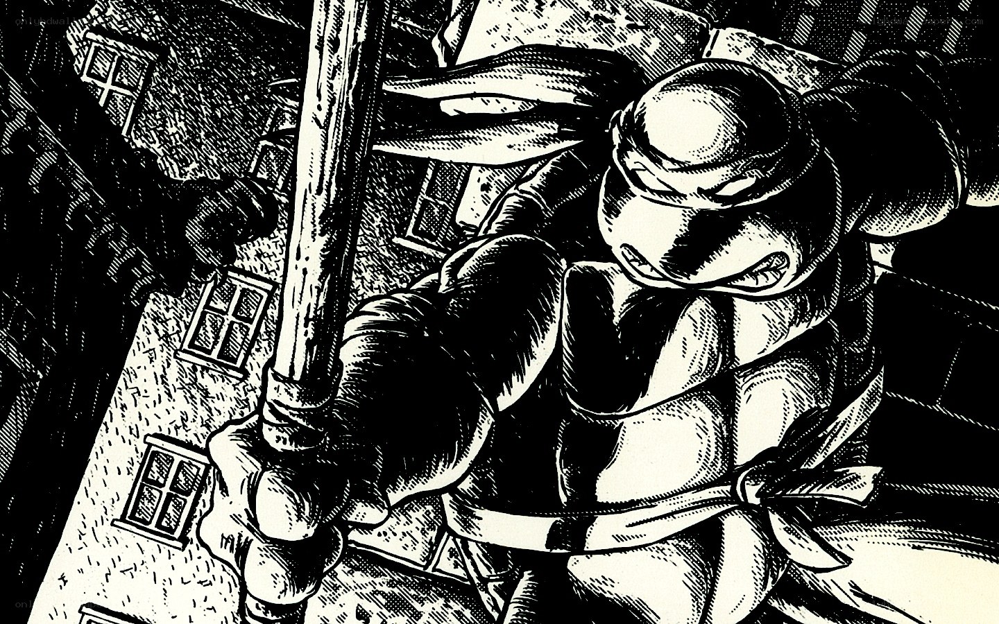 turtle warrior with staff