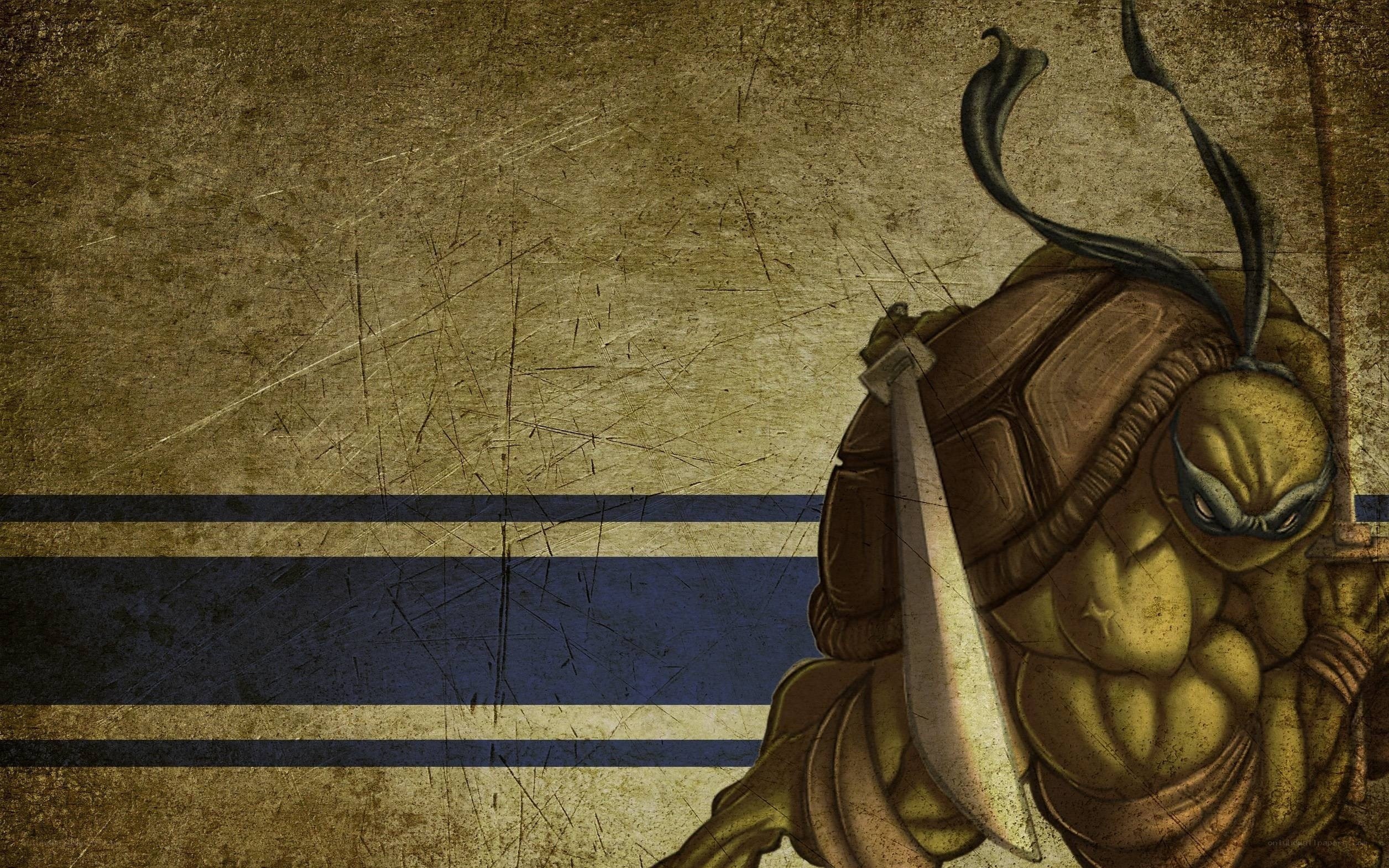 turtle warrior with sword