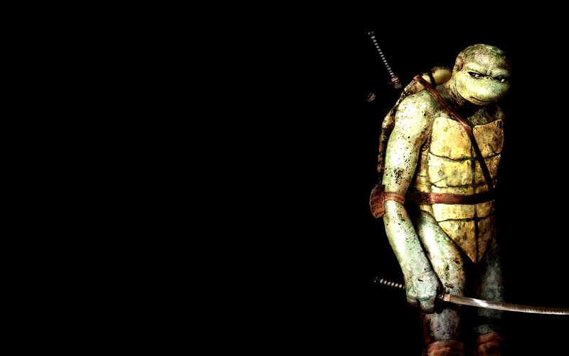 Turtle warrior with swords